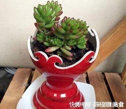 漂亮|这些破烂不要扔,做成“小花盆”,个性又漂亮,比买的强“百倍”!