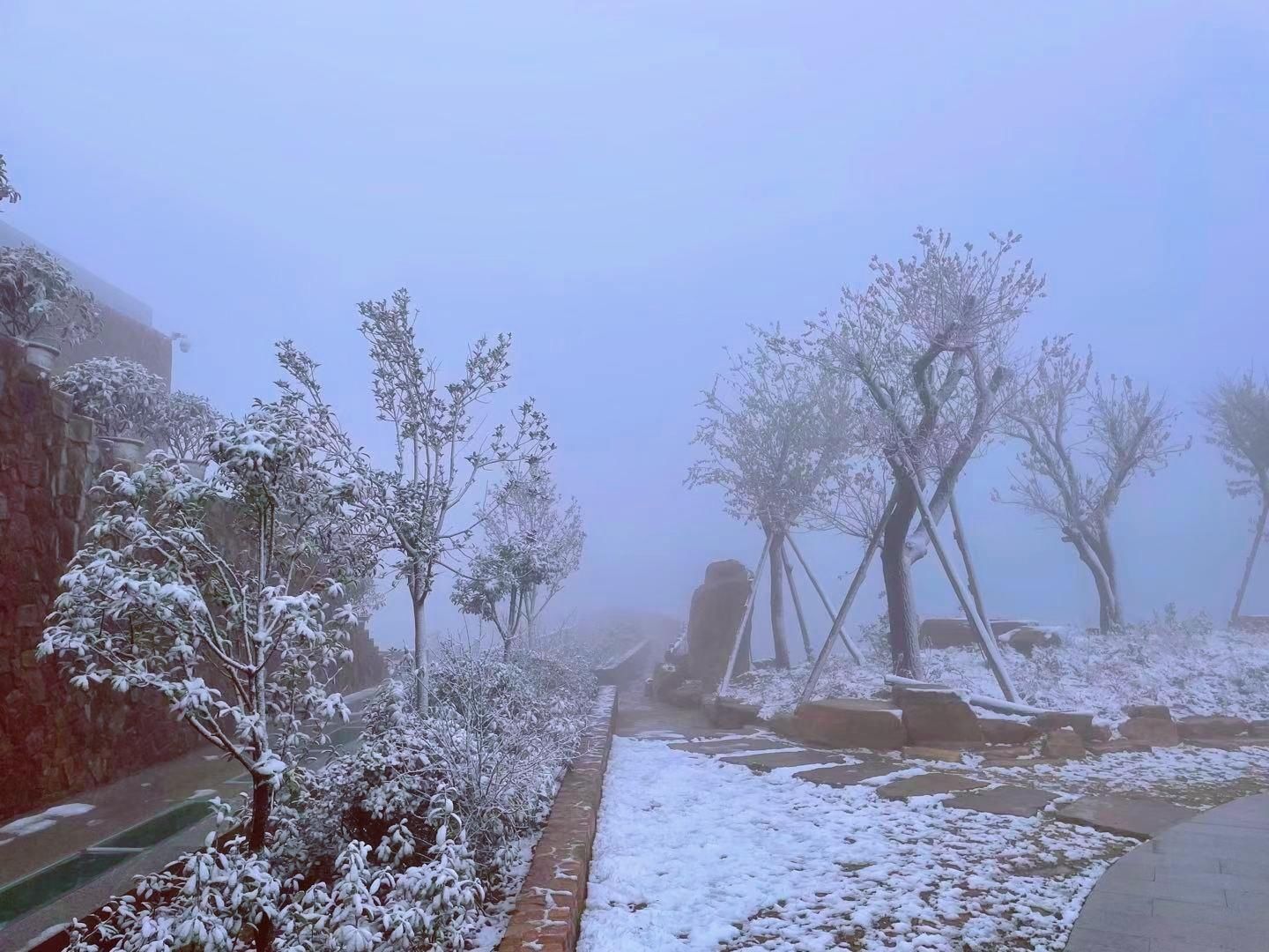  郑州|郑州这两个山区喜提雪花，市区的初雪啥时候来？