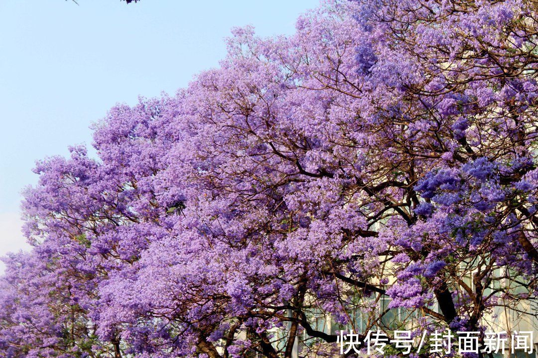 凉山|四川凉山州文广旅局局长周肯：欢迎坐动车前往凉山“快旅慢游”