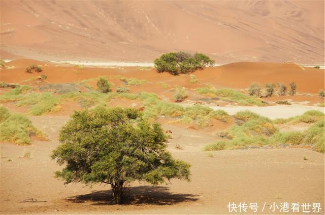 沙漠 将海水引入沙漠，会产生什么后果？看看中东国家就明白了