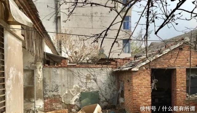 花园|女子“爆改”破败三合院,巧变花园豪宅,父母住进来不想走,显摆