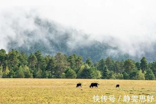 雪山|没去过“三江并流”？你可能错过了“半个地球”