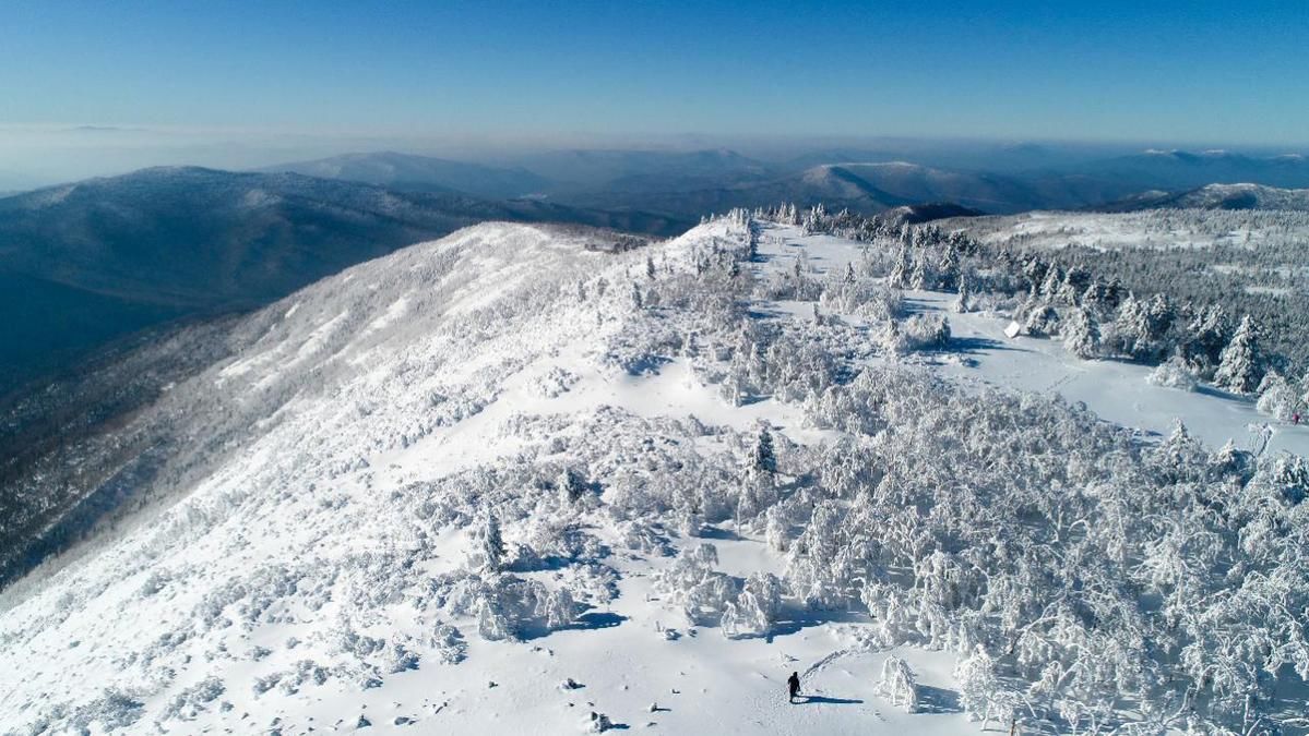 原生态|雪深超一米 凤凰山高山雪原“风姿”初现