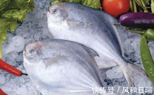 开海后，懂行的人只买这3种海鱼，因只能靠捕捞，比肉便宜，还嫩
