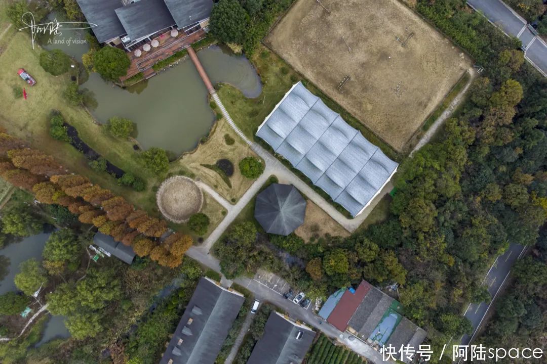  骑马|想体验骑马不一定要去内蒙古，在嘉兴南北湖就可以圆这个梦