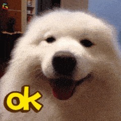 分钟|日本主妇太厉害5分钟快速解决家务难题,干净如新一整年