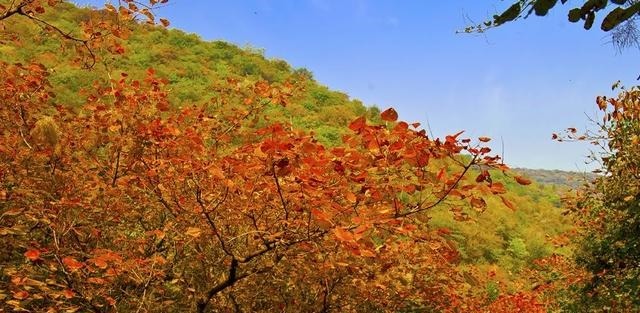 太原|山西被严重低估的山岳，被称太原“新地标”，40尊石雕堪比大同