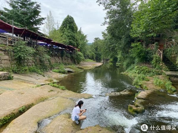 动物园|雅安碧峰峡野生动物园+ 上里古镇