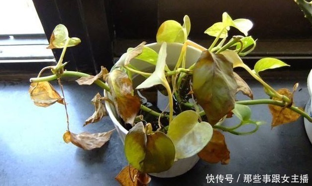 超标|新房测甲醛只靠“闻”屋内出现这3个“异样”,说明甲醛藏得深!