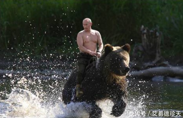 坐骑|沙雕网友提问:孙悟空也是动物,为何没人收他当坐骑?