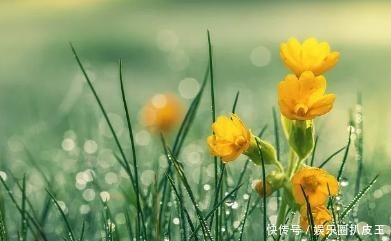 陈与义的一首七律,不仅技法高超,而且奇趣横生!