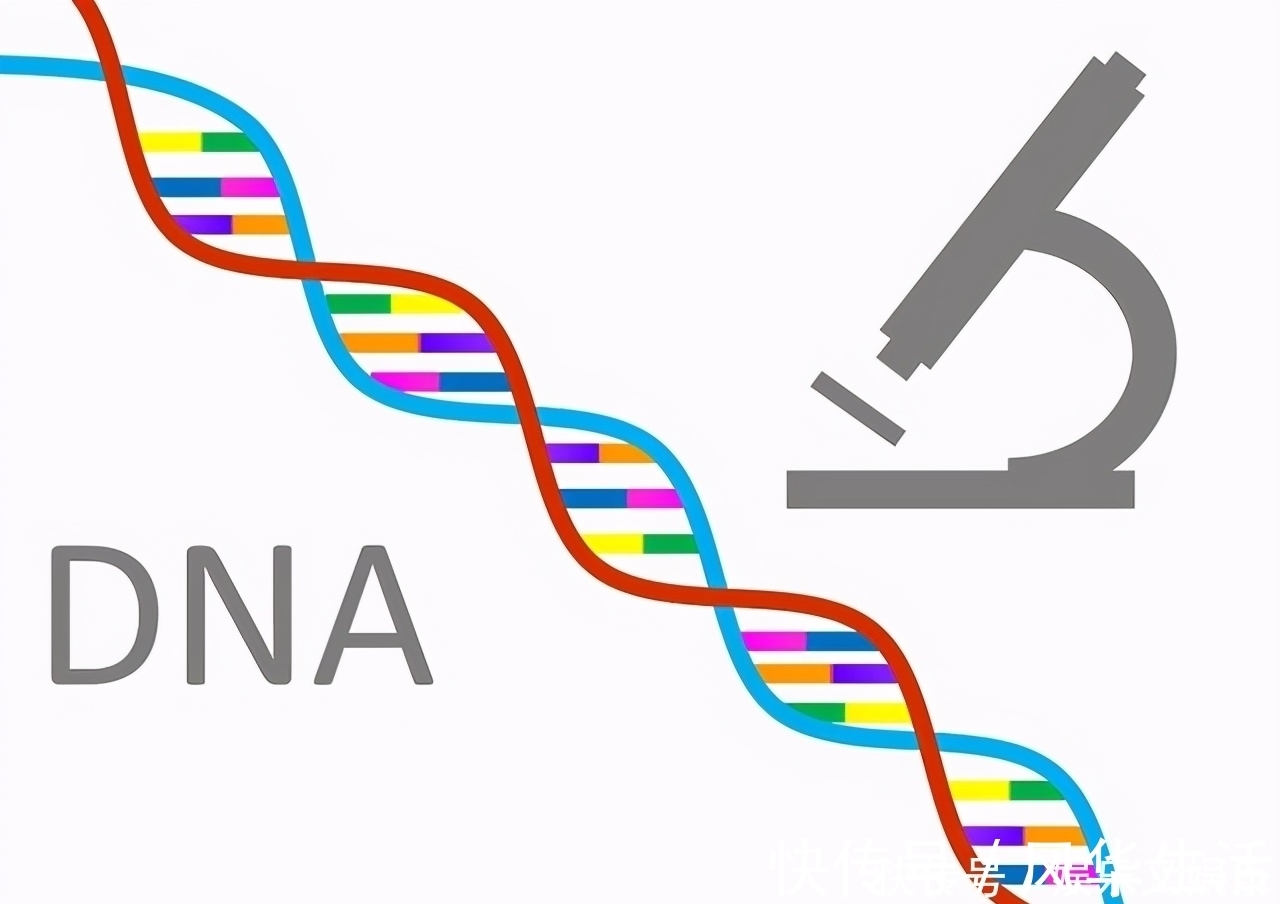 真言|血脂高有什么症状,以及降血脂的“六字真言”是什么?