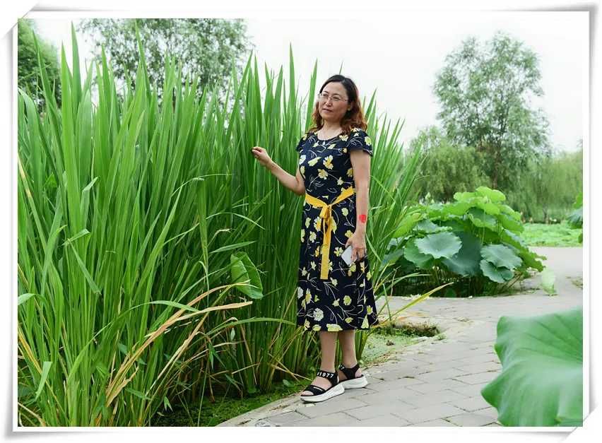 小小说|写小小说“敢”字当先/天 晴