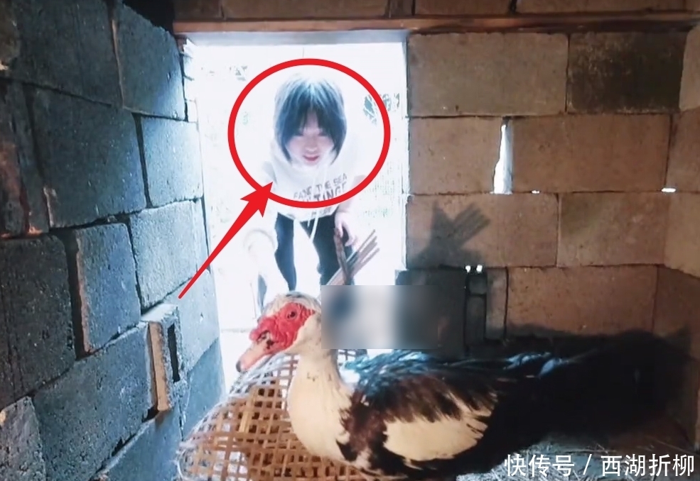 何炅 向往5迎来第二位女嘉宾,和陈赫对比明显,张艺兴都忍不住点赞了