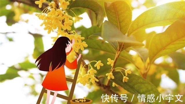 彩礼|把我当摇钱树的父母,在弟弟结婚后,终于感到自责了