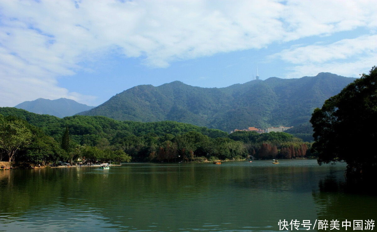 植物|深圳仙湖植物园，植物花卉形态各异，湖光山色，妙趣横生