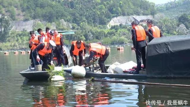 垂钓|渔政黄河亮剑行动开始,可钓但不能完全幸免,其他的一律重罚