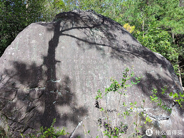 周末去打野之三——去北辰山看弹幕