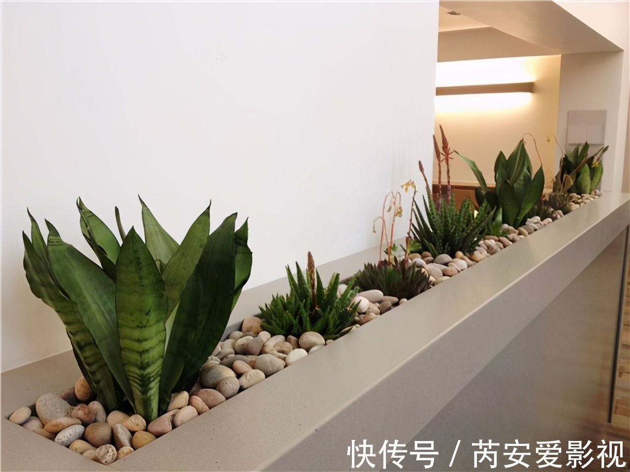 阳台上|5个位置,不能养花,养一盆死一盆,看看你中招没有