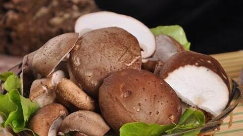 免疫系统|免疫力是人体免费医生，5种不起眼的食物，助力提升免疫力