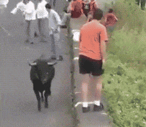 |搞笑GIF:这只猴子是进化了一半吧?另一半卡住了?