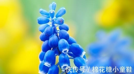 桃花|8月，缘分到来，桃花漫天，旧情暗涌，真爱不变，携手共创明天