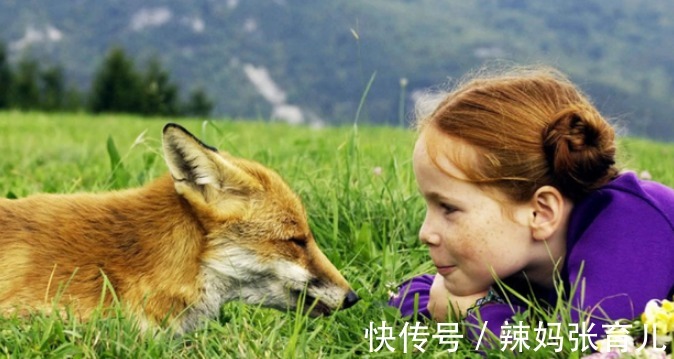 探索|抓住宝宝0~3岁大脑发育黄金期,做好三件事,让孩子智力飞速提升