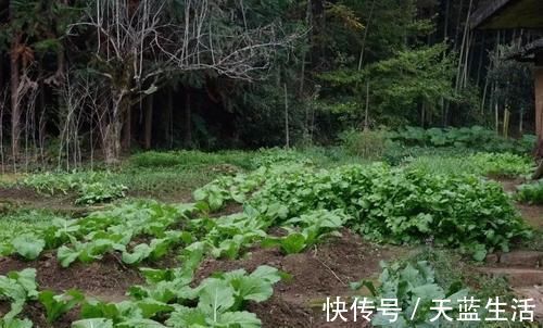 孝心|出生在几点钟的孩子，受到长辈疼爱，长大后出人头地，反哺双亲