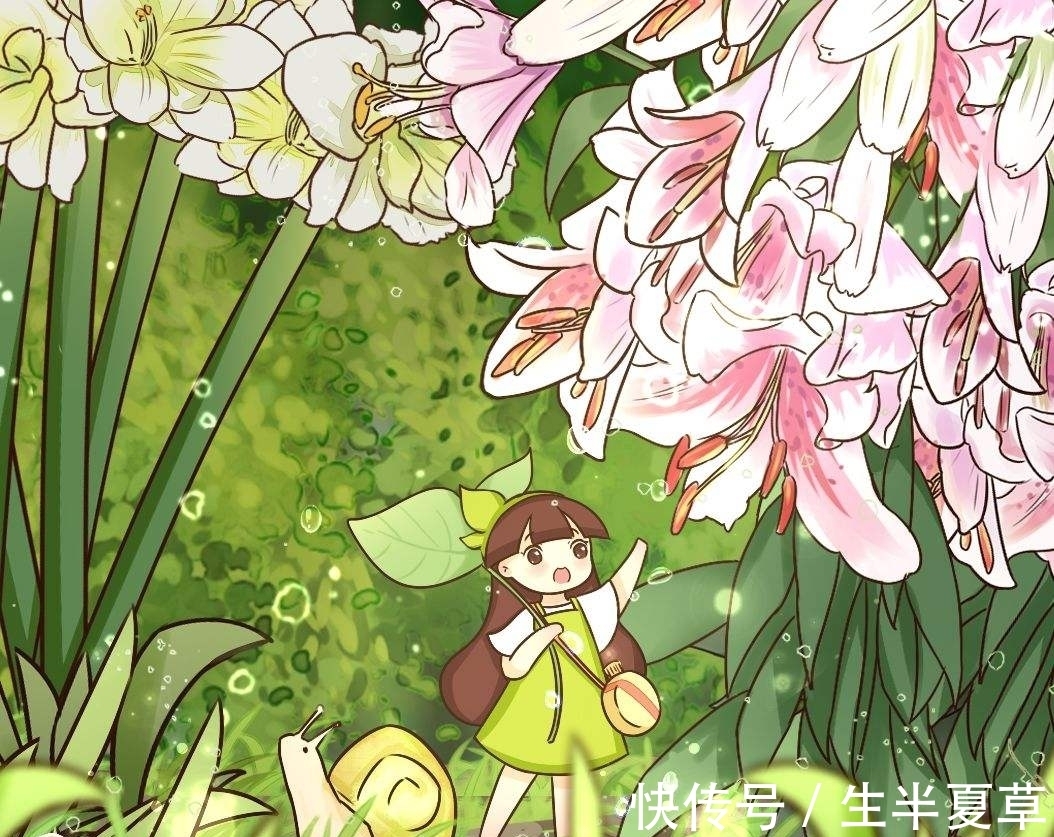 老花农养的朱顶红，个个开花比碗大，原来是这样做的！