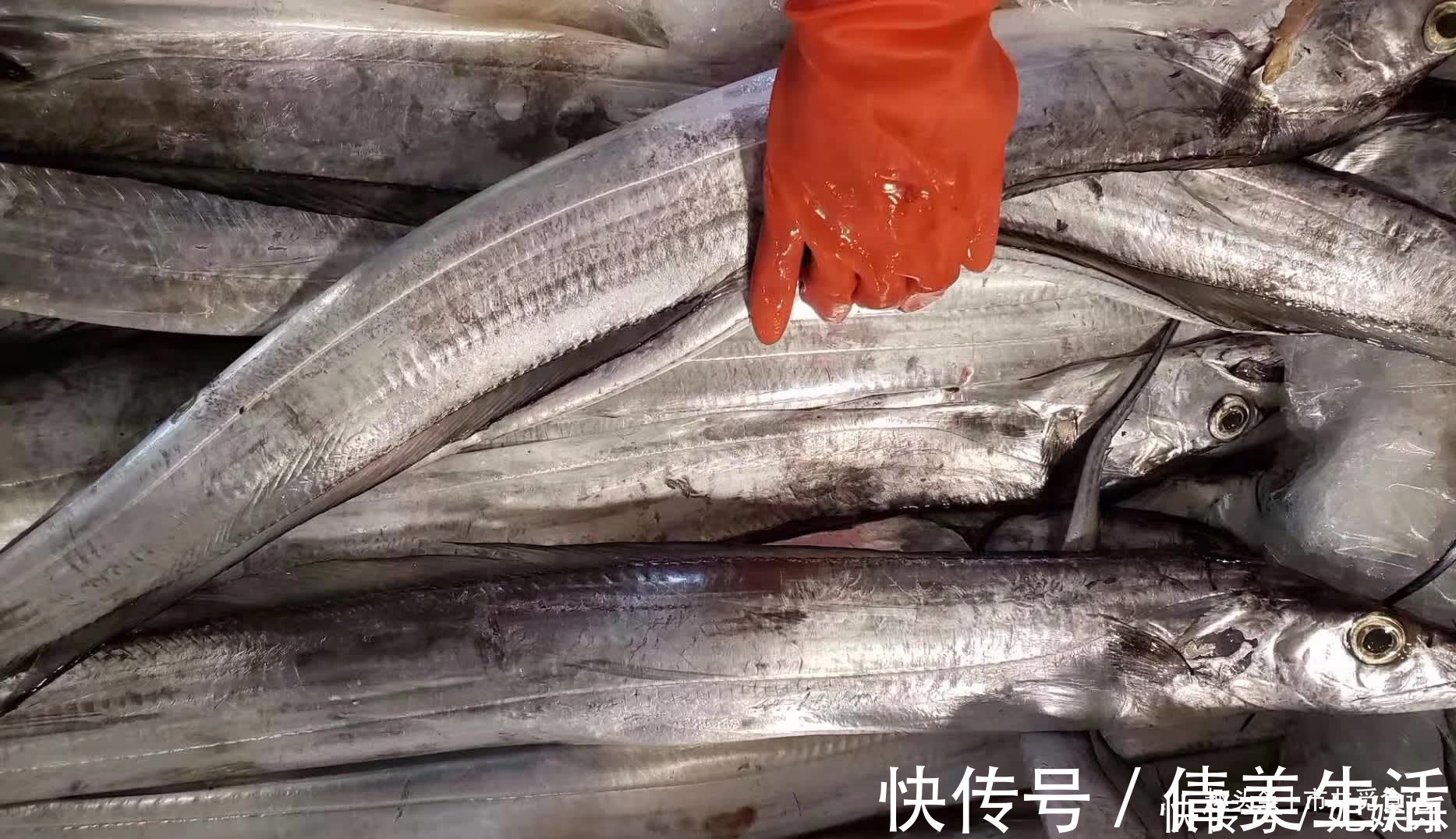 吕四|买带鱼，大带鱼好吃还是小带鱼好吃价格差几倍，区别大了