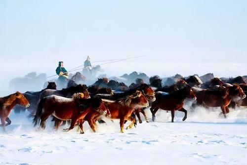 内蒙古隐藏的边境天路，赏世界级冰雪奇景，资深驴友才去过