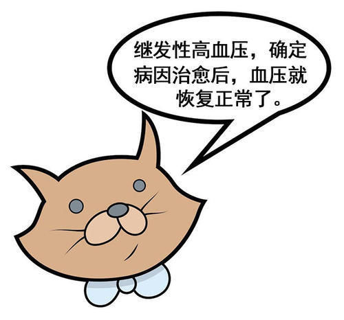 血压测量|顽固性高血压难以控制,这七大原因有你吗?专家教你如何应对