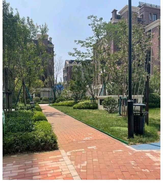 炒房|我国的房价泡沫大吗？真不大