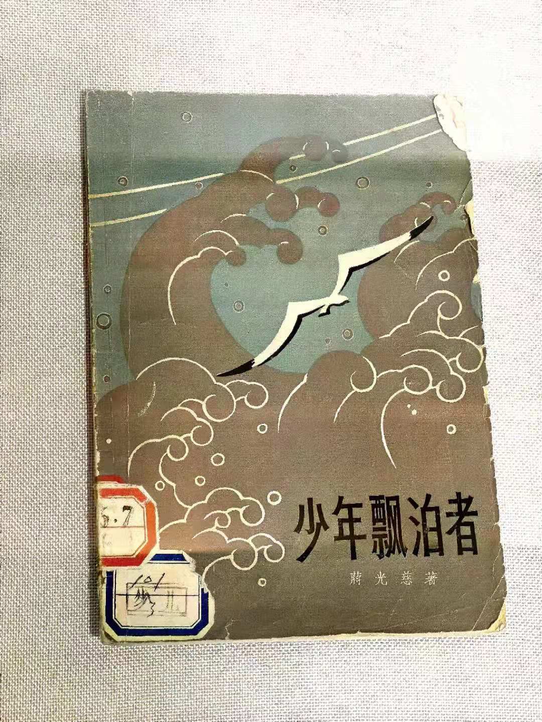 95年前的这本“网红”小说，为什么是一盏指路明灯