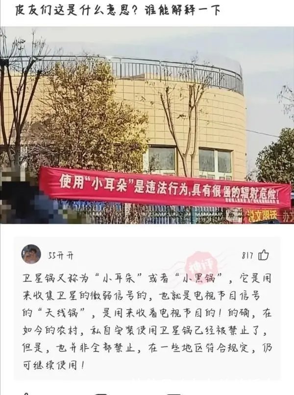 沙雕|神回复：不想和我打游戏就直说，和平精英里有虫子你害怕你也说的出来？