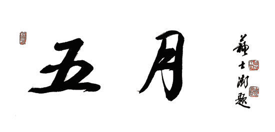评论|网络文学评论——90后的声音