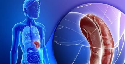 卫生|若长久单一使用洗衣粉洗涤衣物，再加上不注意卫生，就会种下隐患