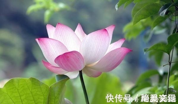 俗气$“气度”决定“人生境界”,分为6层,你能达到第几层