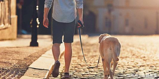 你的生活|12条冷知识,有趣又好玩,你知道袋装薯片和筒装薯片的区别吗