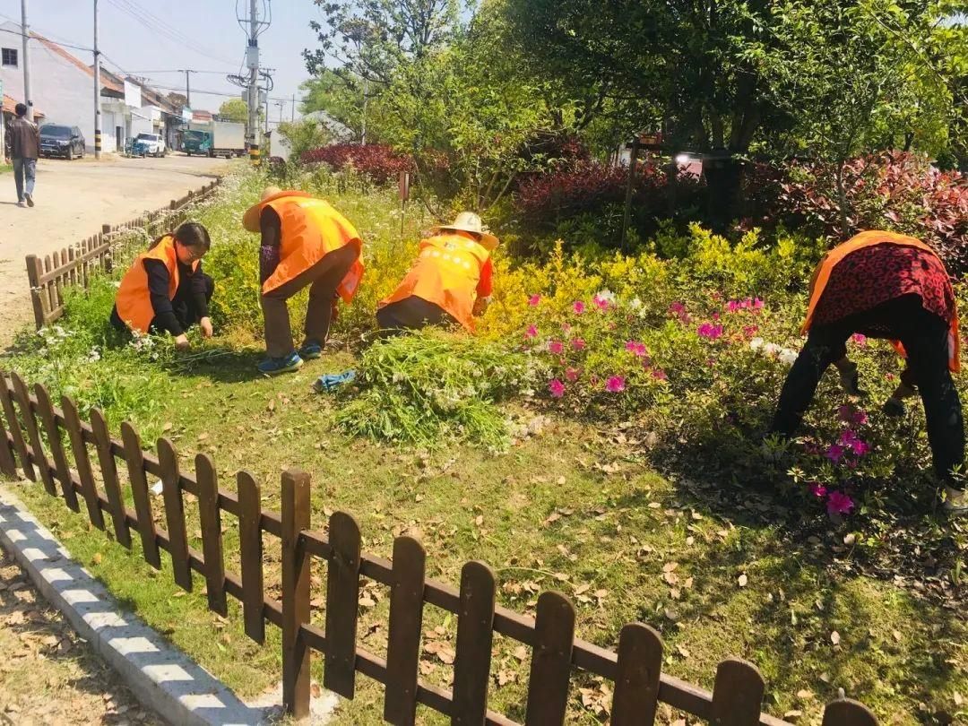  时代|【基层动态】“巾帼建功新时代 我为花博添光彩” 港沿镇妇联这样迎花博