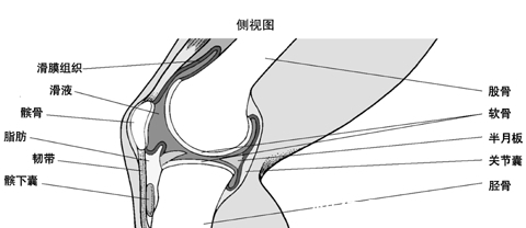 习惯|这3个“毁膝盖”的习惯你还在做?教你2个方法,保养膝关节