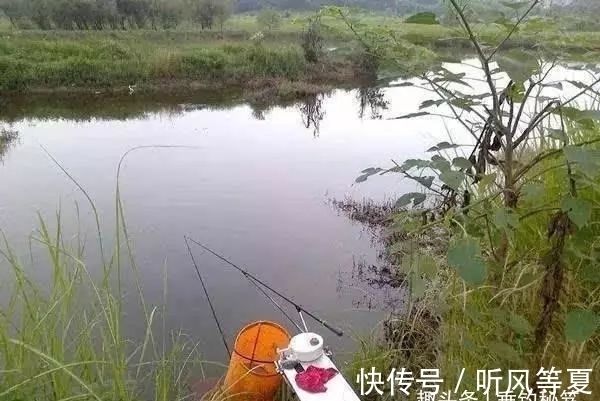 鱼竿|购买的鱼竿好不好,参数不重要,上手测试一下才知道