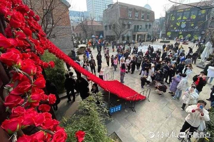 玫瑰花瀑布|太甜了！济南经三路玫瑰花瀑布已就位，俊男靓女快去打卡吧