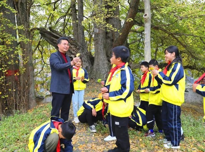 约吗？龙岩这株千年银杏王，满眼尽是黄金叶|三明 | 龙岩