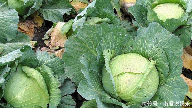 四种食物,堪称“催老剂”,女性若管不住嘴,老得快也怪不得别人