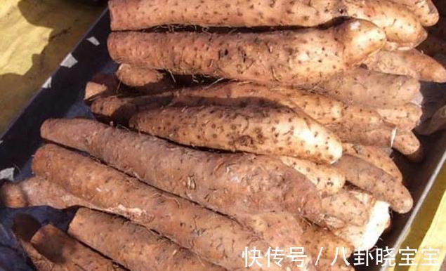 山药|入秋后，这4种“白色食物”要多吃，营养美味又滋补，好吃不贵！