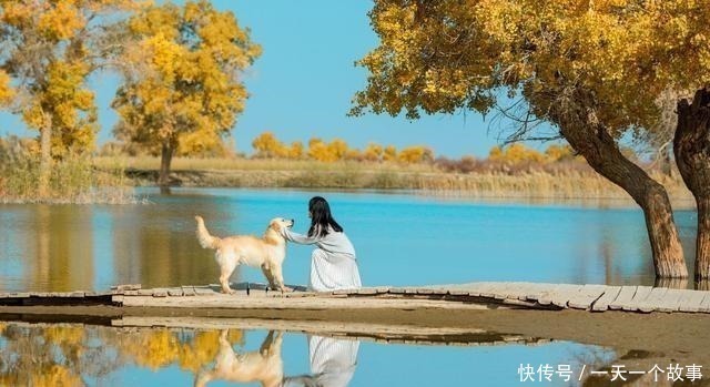 酬张少府|20首传诵千古的诗词,全是顶级名篇,每一首都值得背下来