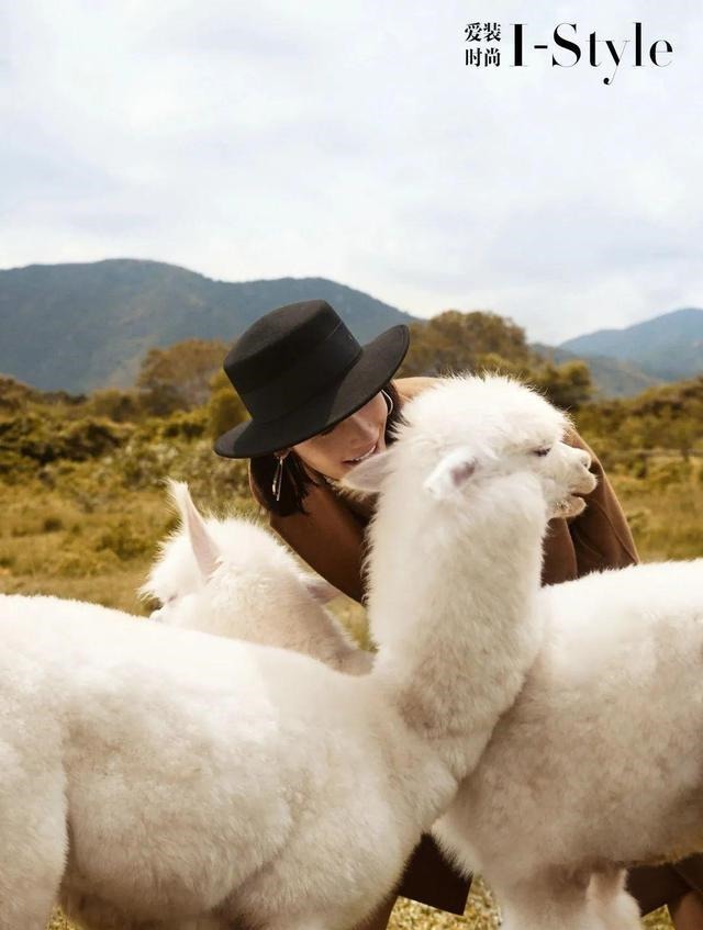 羊驼绒 这件羊驼绒大衣,比拥抱更暖!