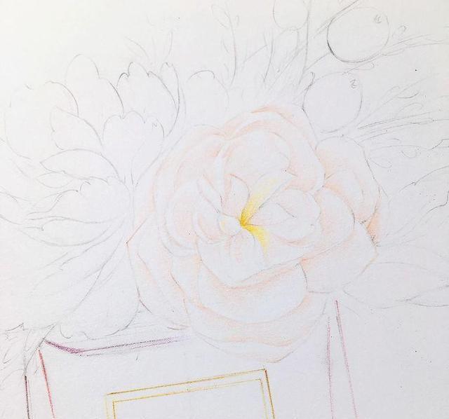 香水瓶|画画如何不“歪”,运用整体概括思维找型,香奈儿CoCo,彩铅教程