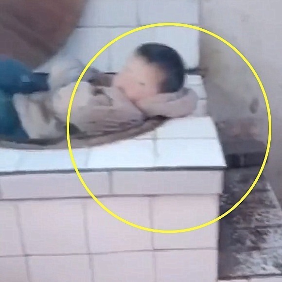 农作物|宝宝被送去农村,奶奶一个不注意,宝宝找到个好“床铺”,太逗了